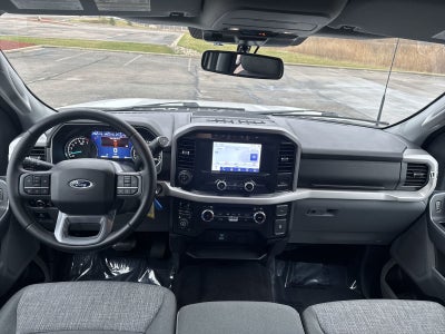 2023 Ford F-150 XLT FX4