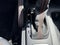 2026 Nissan Frontier PRO-4X Convenience Package